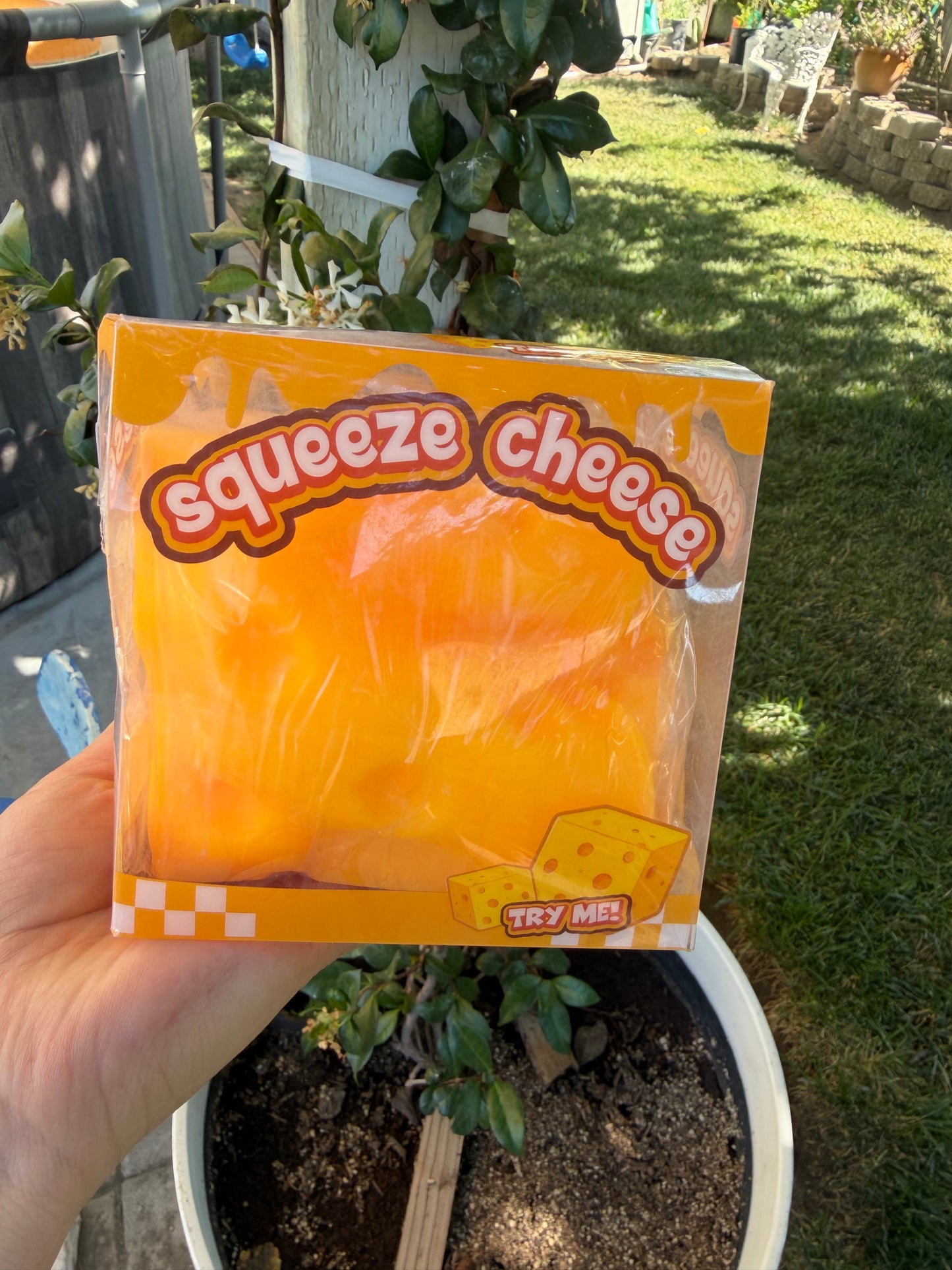 Big cheese squish