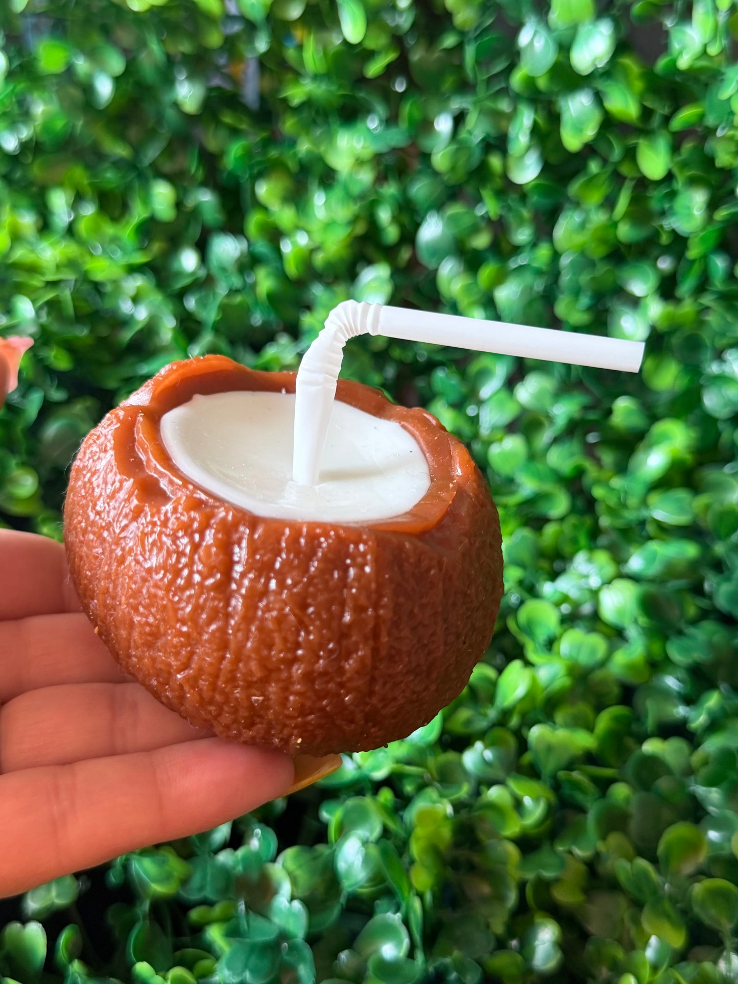 Squishy Taba Coconut