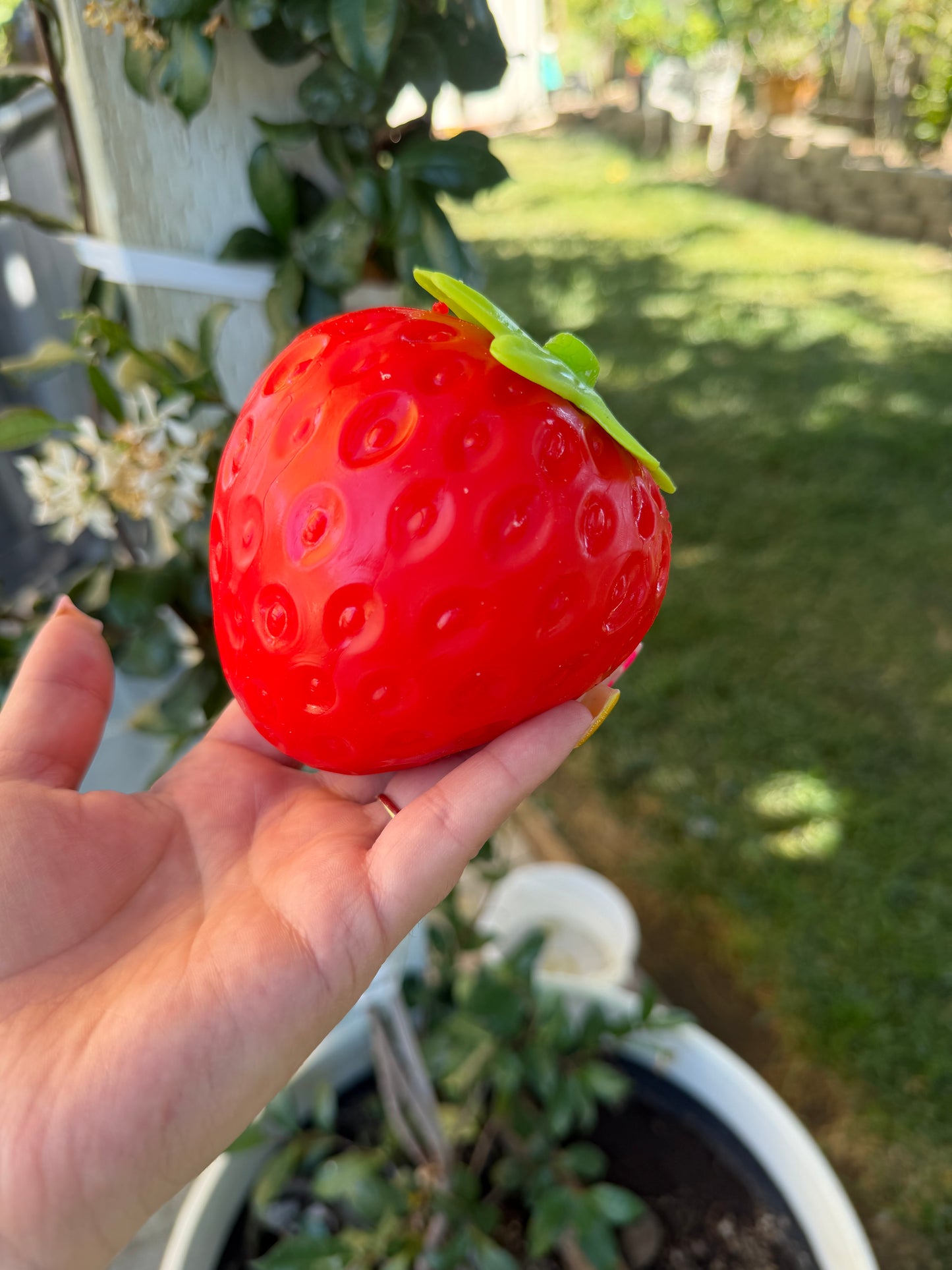 Strawberry 🍓 Squishy