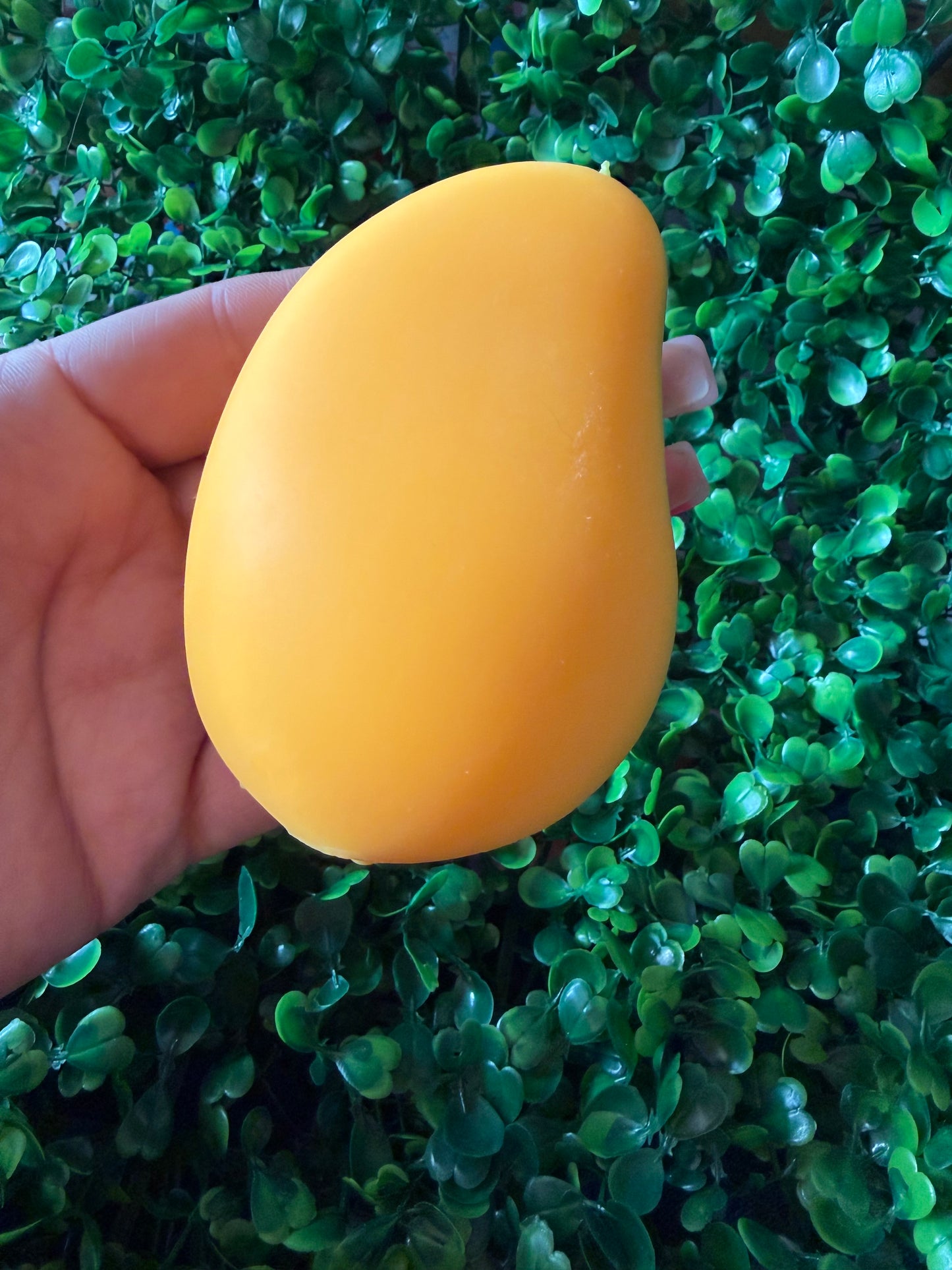 Squishy Mango