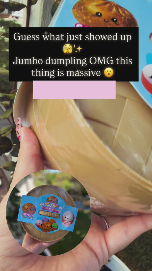 Jumbo dumpling squishy