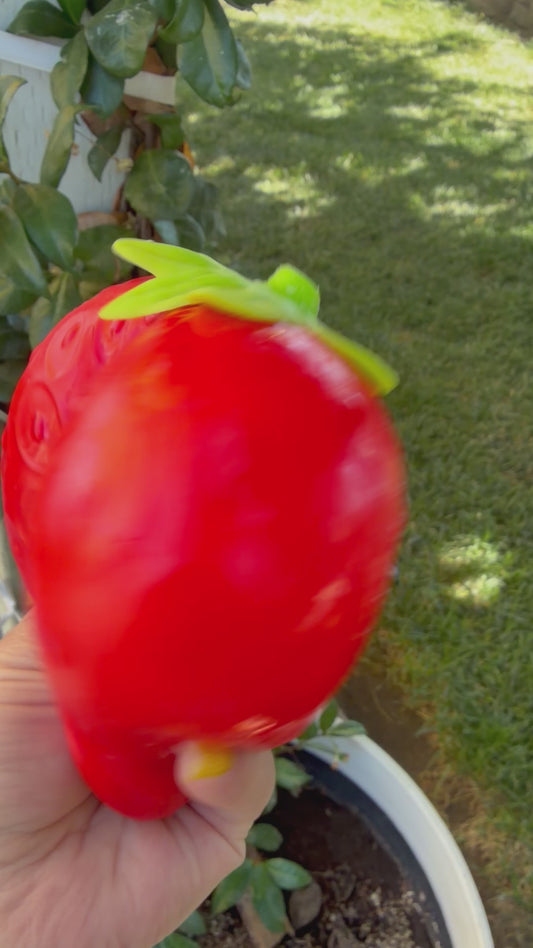 Strawberry 🍓 Squishy