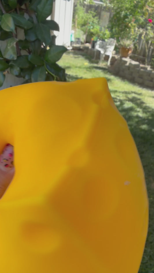Big cheese squish
